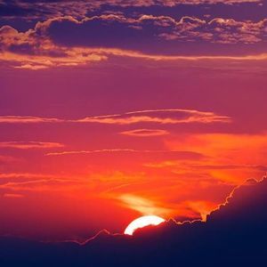 Meet your Posher, Evan